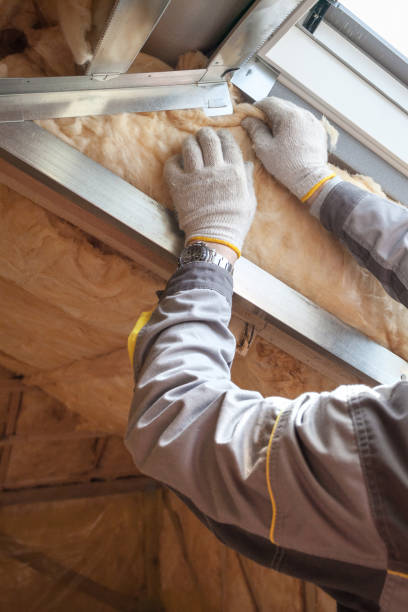 Best Eco-Friendly or Green Insulation Solutions  in Weyers Cave, VA