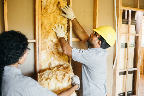 Best Wall Insulation Installation  in Weyers Cave, VA