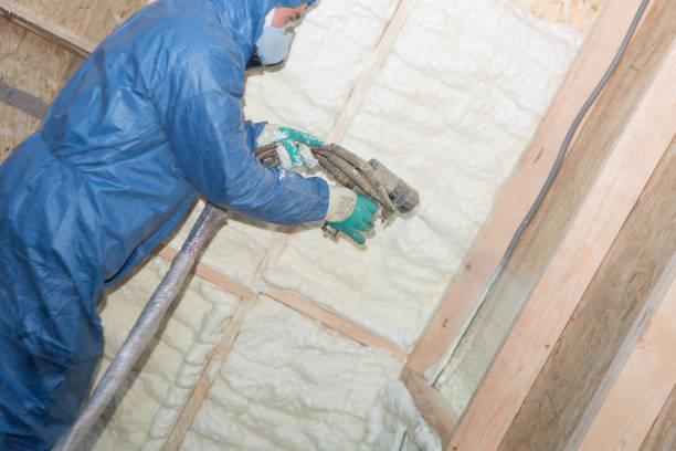 Best Pipe and Duct Insulation  in Weyers Cave, VA