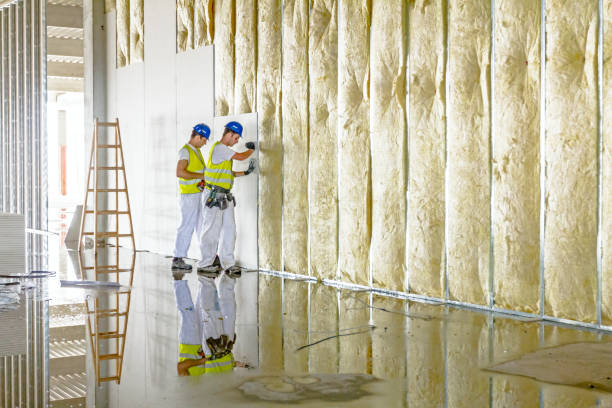 Best Crawl Space Insulation  in Weyers Cave, VA